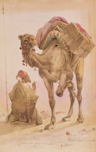 Praying Arab with a Secured Camel